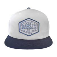 Colter Wall Hey Darlin' Hat