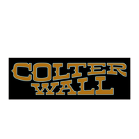Colter Wall Wavy Logo Sticker